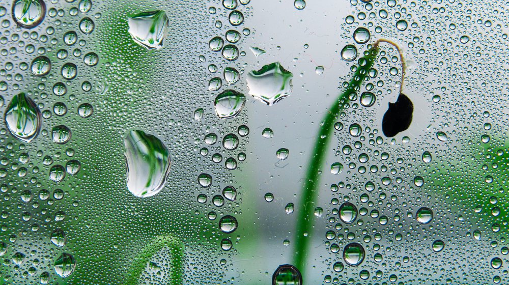 Trasmissione di virus infettanti  tramite le goccioline di saliva (droplets)