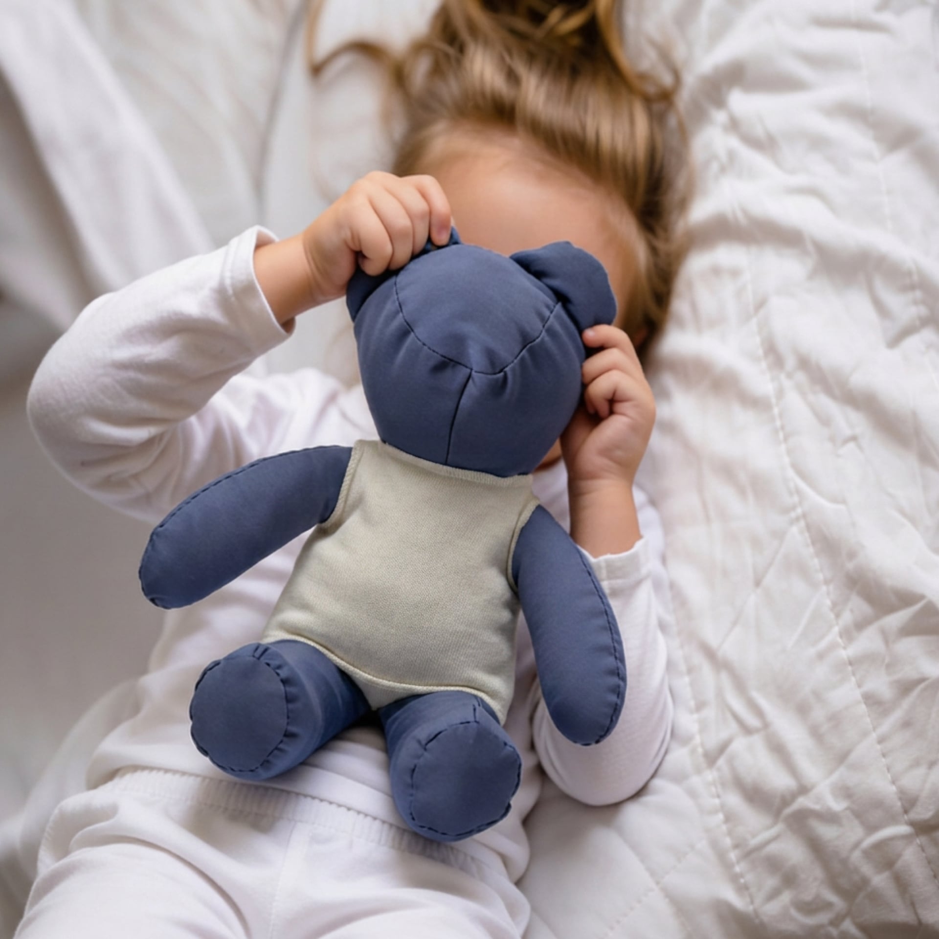 Peluche in Tessuto Antiacaro Envibear® - Indaco